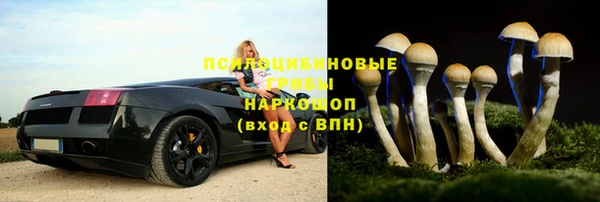 спайс Алзамай
