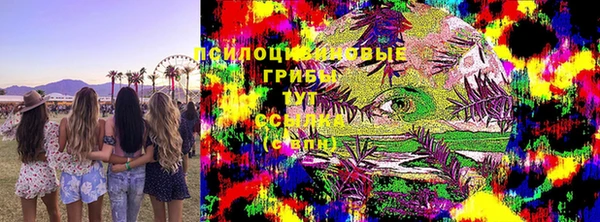 спайс Алзамай