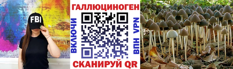 Галлюциногенные грибы мицелий  цены   Далматово 